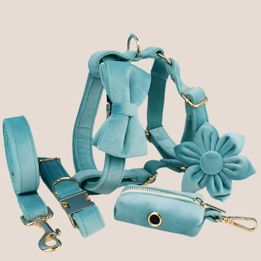 Turquoise Velvet Engraved Pet Set