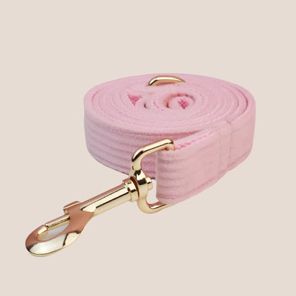 Personalized Pet ID Collar, Harness Leash & Accessories Set - Pink Corduroy