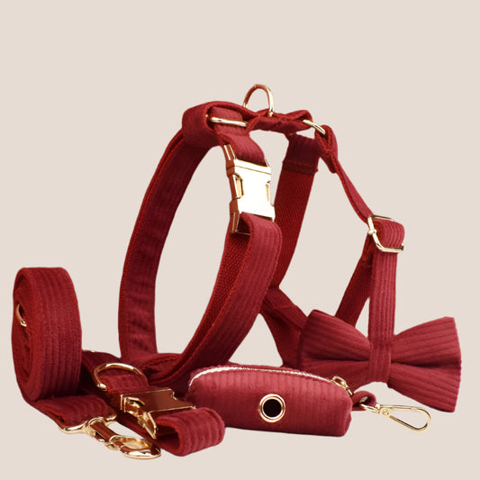 Personalized Pet ID Collar, Harness Leash & Accessories Set Maroon Corduroy