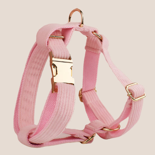 Personalized Pet ID Collar, Harness Leash & Accessories Set - Pink Corduroy