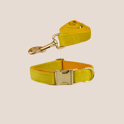 Personalized Pet ID Collar, Harness Leash & Accessories Set Yellow Velvet