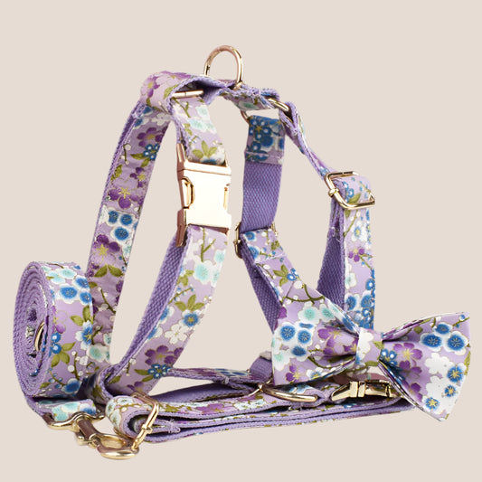 Personalized Pet ID Collar, Harness Leash & Accessories Set Purple Floral
