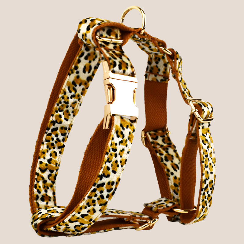 Personalized Pet ID Collar, Harness Leash & Accessories Set Royal Leopard Velvet