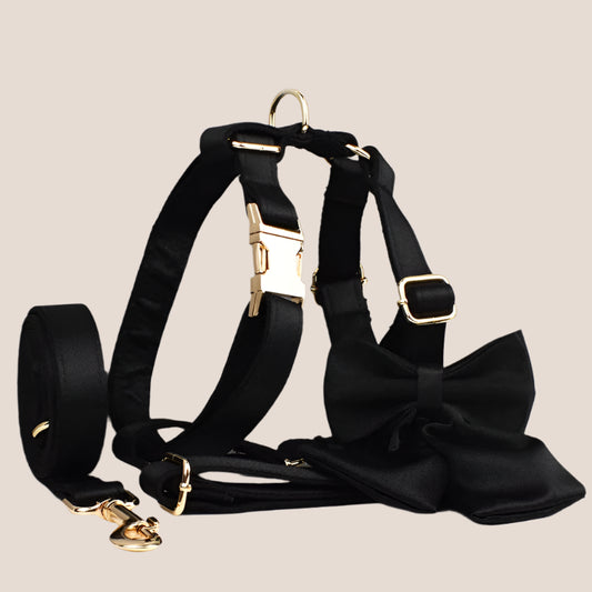 Personalized Pet ID Collar, Harness Leash & Accessories Set Black Satin