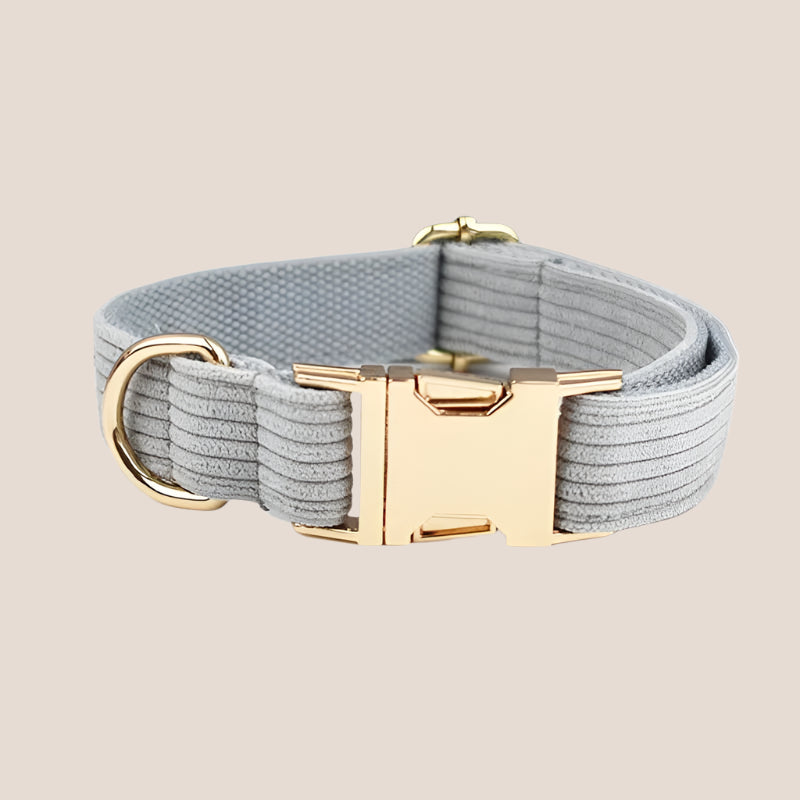 Personalized Pet ID Collar, Harness Leash & Accessories Set Grey Corduroy