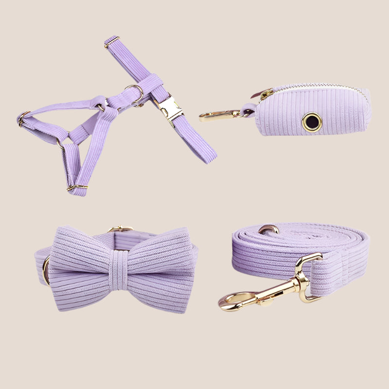 Personalized Pet ID Collar, Harness Leash & Accessories Set Lilac Corduroy