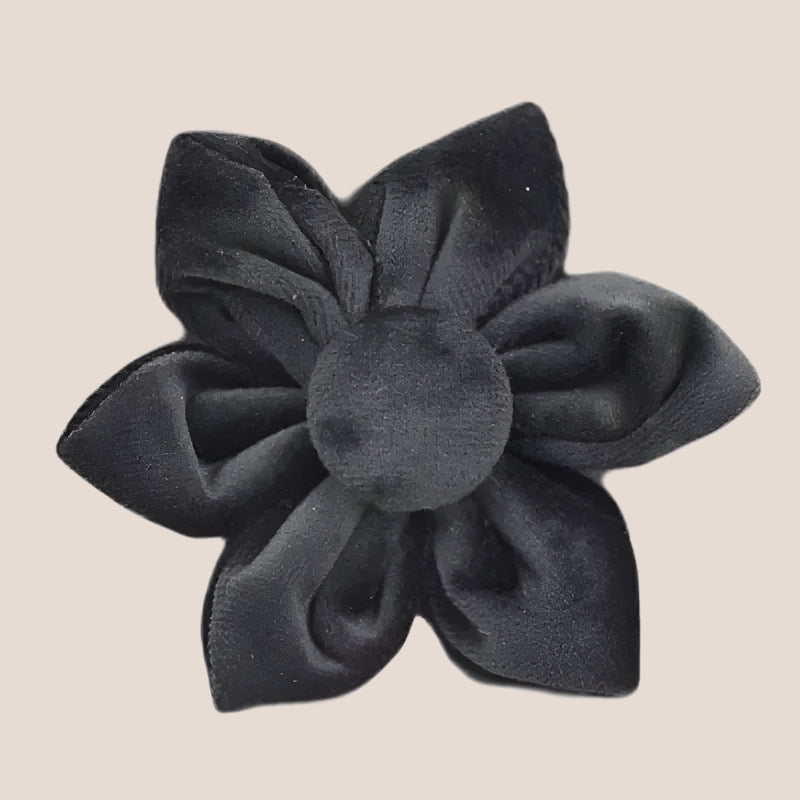 Black Velvet Engraved Pet Set