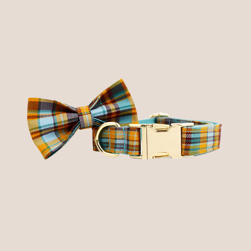 Personalized Pet ID Collar, Harness Leash & Accessories Set Teal Plaid