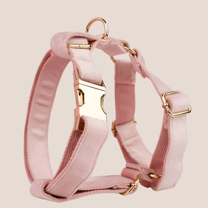 Personalized Pet ID Collar, Harness Leash & Accessories Set Pale Pink Velvet