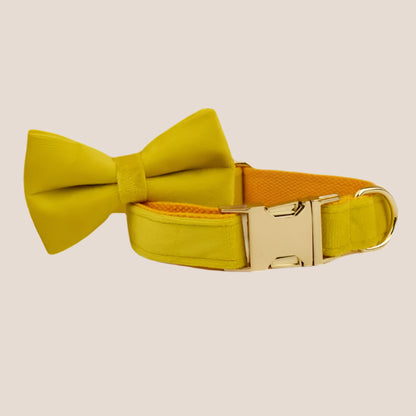 Personalized Pet ID Collar, Harness Leash & Accessories Set Yellow Velvet