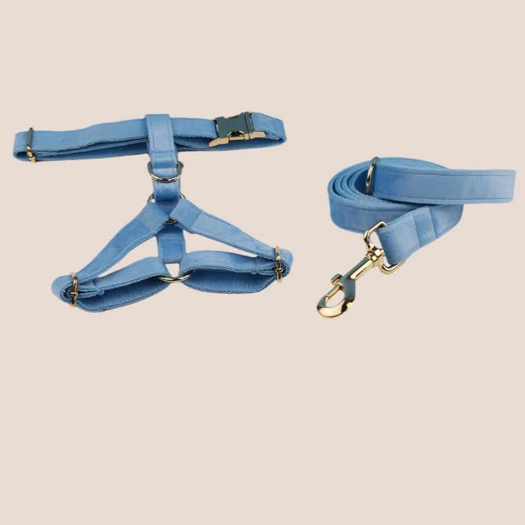 Personalized Pet ID Collar, Harness Leash & Accessories Set Light Blue Velvet