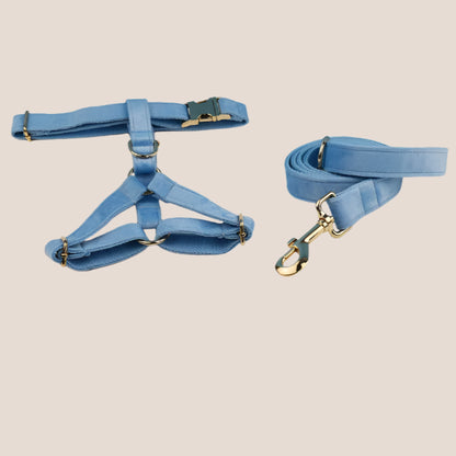 Personalized Pet ID Collar, Harness Leash & Accessories Set Light Blue Velvet