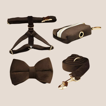 Personalized Pet ID Collar, Harness Leash & Accessories Set Brown Velvet