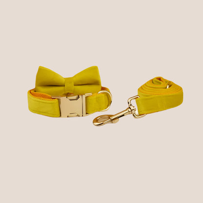 Personalized Pet ID Collar, Harness Leash & Accessories Set Yellow Velvet