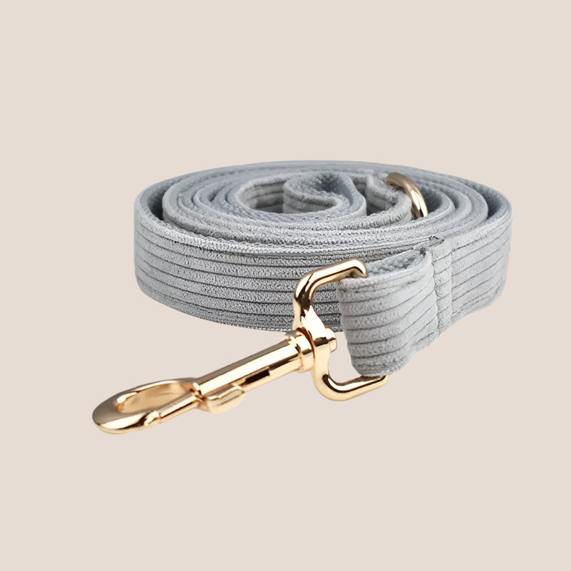 Personalized Pet ID Collar, Harness Leash & Accessories Set Grey Corduroy