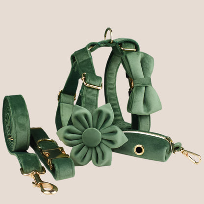 Forest Green Velvet Engraved Pet Set