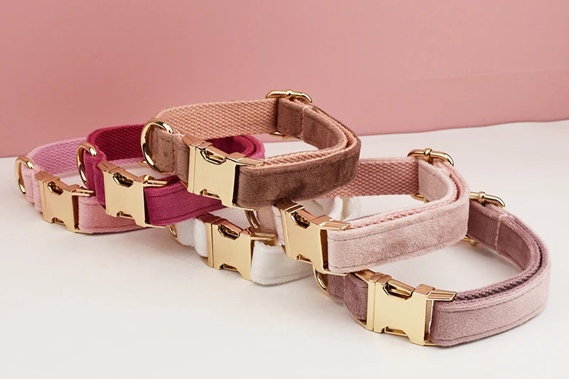 PERSONALIZED COLLAR LEASH AND TIE SETS
