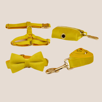 Personalized Pet ID Collar, Harness Leash & Accessories Set Yellow Velvet