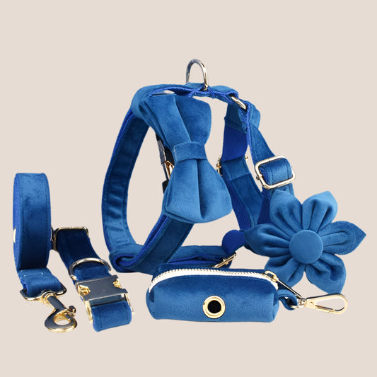 Royal Blue Velvet Engraved Pet Set