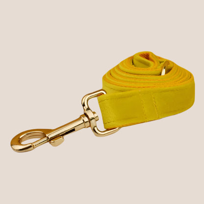 Personalized Pet ID Collar, Harness Leash & Accessories Set Yellow Velvet