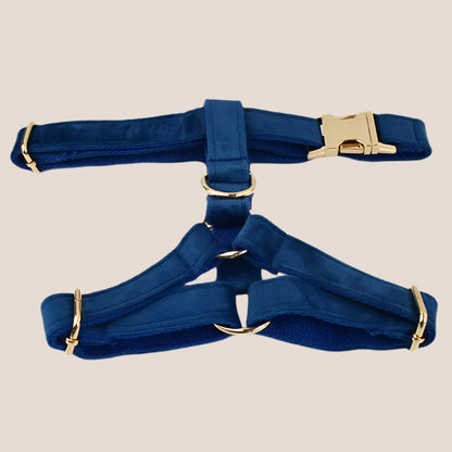 Royal Blue Velvet Engraved Pet Set