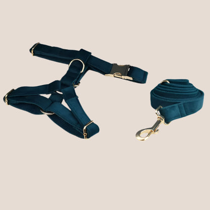 Ocean Blue Velvet Engraved Pet Set