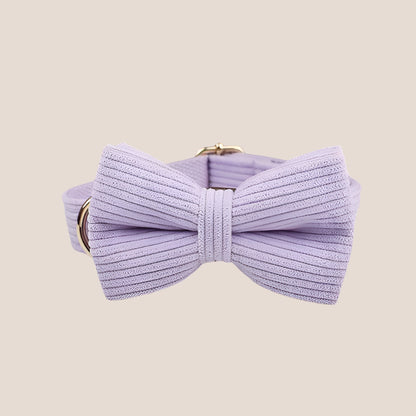 Personalized Pet ID Collar, Harness Leash & Accessories Set Lilac Corduroy