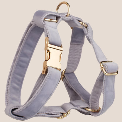 Personalized Pet ID Collar, Harness Leash & Accessories Set Lilac Velvet