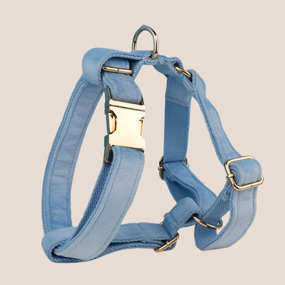 Personalized Pet ID Collar, Harness Leash & Accessories Set Light Blue Velvet