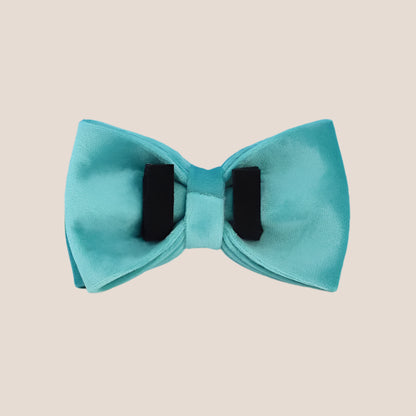 Turquoise Velvet Engraved Pet Set