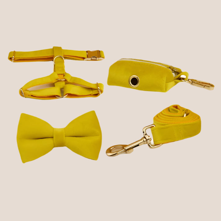 Personalized Pet ID Collar, Harness Leash & Accessories Set Yellow Velvet