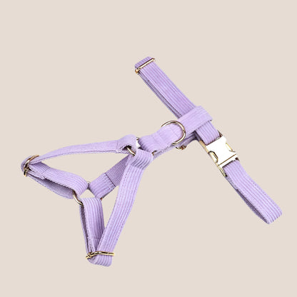 Personalized Pet ID Collar, Harness Leash & Accessories Set Lilac Corduroy