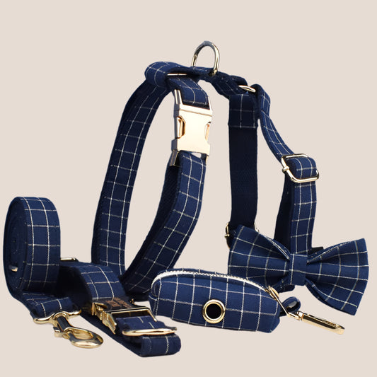 Personalized Pet ID Collar, Harness Leash & Accessories Set Blue Grid
