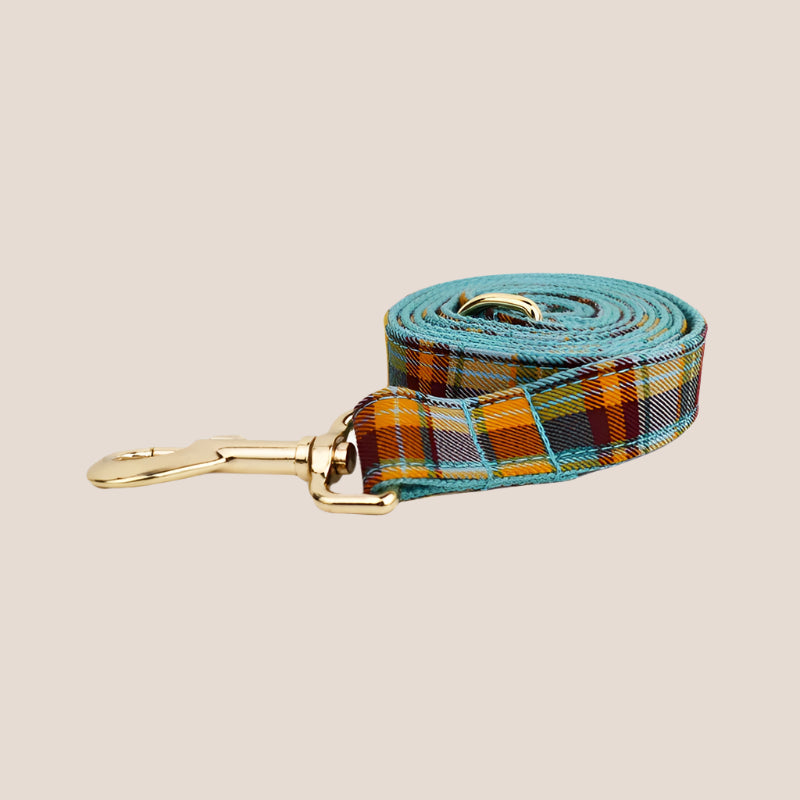 Personalized Pet ID Collar, Harness Leash & Accessories Set Teal Plaid