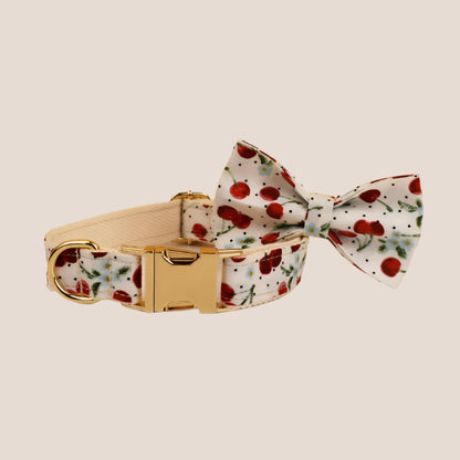 Personalized Pet ID Collar, Harness Leash & Accessories Set Cherry