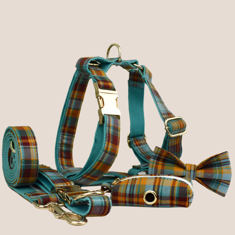 Personalized Pet ID Collar, Harness Leash & Accessories Set Teal Plaid