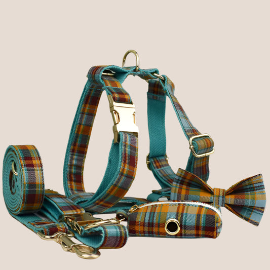 Personalized Pet ID Collar, Harness Leash & Accessories Set Teal Plaid
