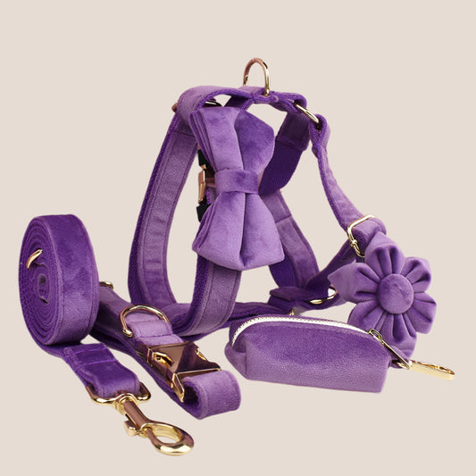 Purple Velvet Engraved Pet Set
