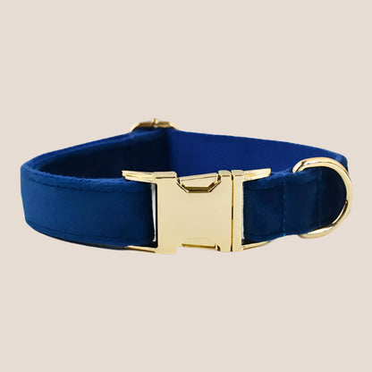 Royal Blue Velvet Engraved Pet Set