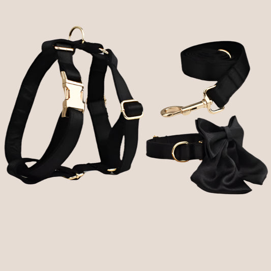 Personalized Pet ID Collar, Harness Leash & Accessories Set Black Satin