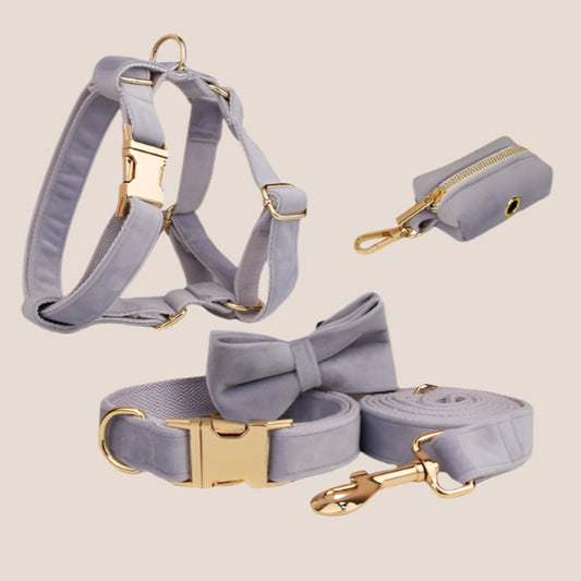 Personalized Pet ID Collar, Harness Leash & Accessories Set Lilac Velvet