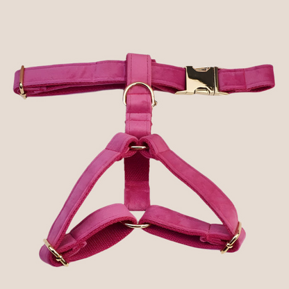 Dark Pink Velvet Engraved Pet Set