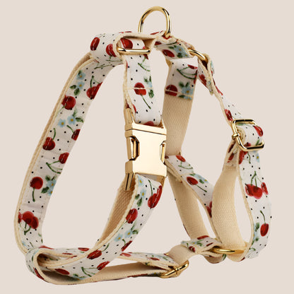 Personalized Pet ID Collar, Harness Leash & Accessories Set Cherry