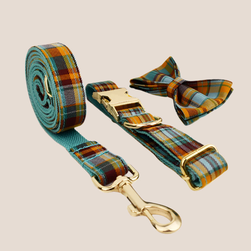 Personalized Pet ID Collar, Harness Leash & Accessories Set Teal Plaid