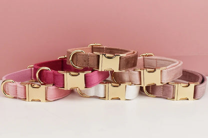 PERSONALIZED COLLAR LEASH AND TIE SETS