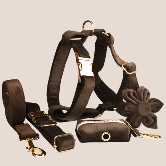 Personalized Pet ID Collar, Harness Leash & Accessories Set Brown Velvet