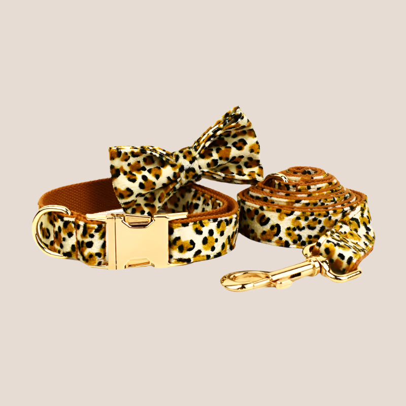 Personalized Pet ID Collar, Harness Leash & Accessories Set Royal Leopard Velvet