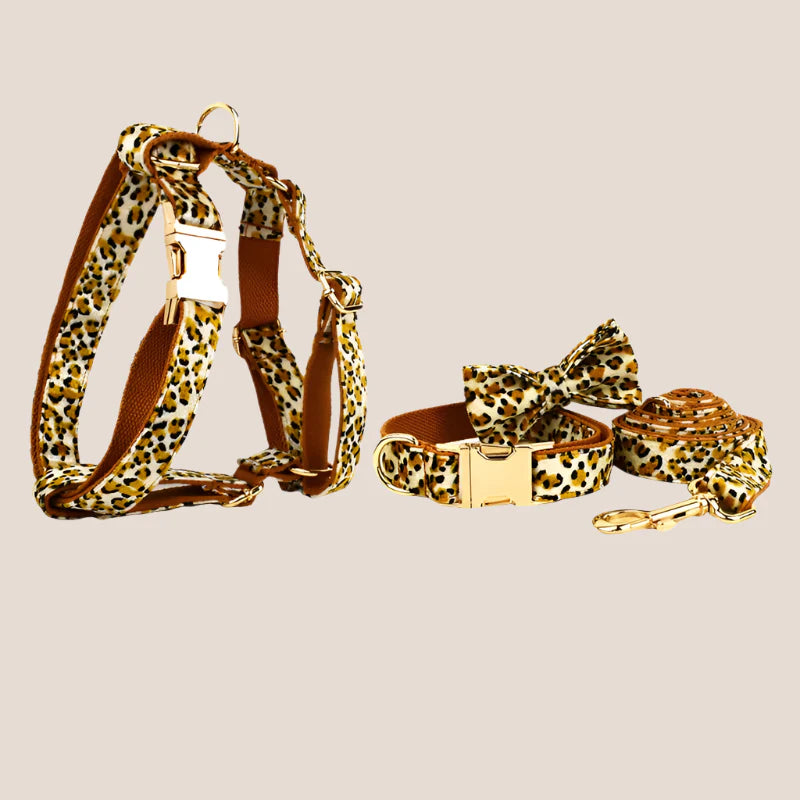 Personalized Pet ID Collar, Harness Leash & Accessories Set Royal Leopard Velvet
