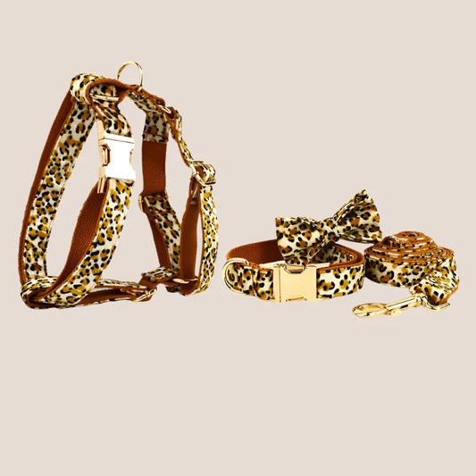 Personalized Pet ID Collar, Harness Leash & Accessories Set Royal Leopard Velvet