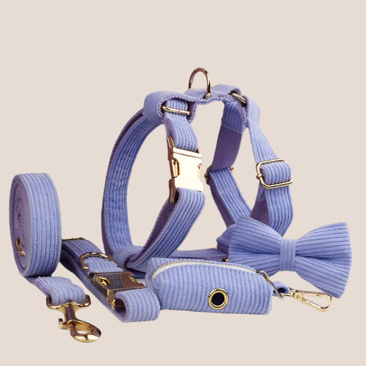 Personalized Pet ID Collar, Harness Leash & Accessories Set Purple Corduroy